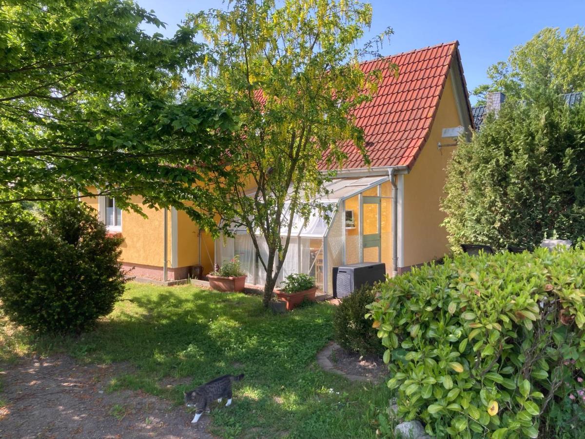 Ferienhaus -Villa Huehnerstall- Hessenburg المظهر الخارجي الصورة